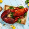 10 lb – 15 lb Live Canadian Lobster