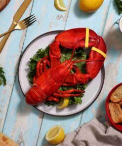 2 lb Live Maine Lobster